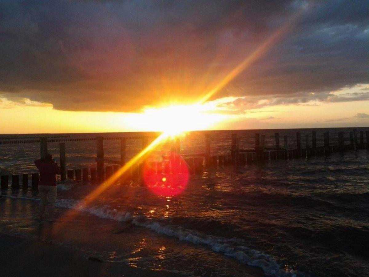 Residenz Am Strand Wohnung 2-43 Zingst Bagian luar foto